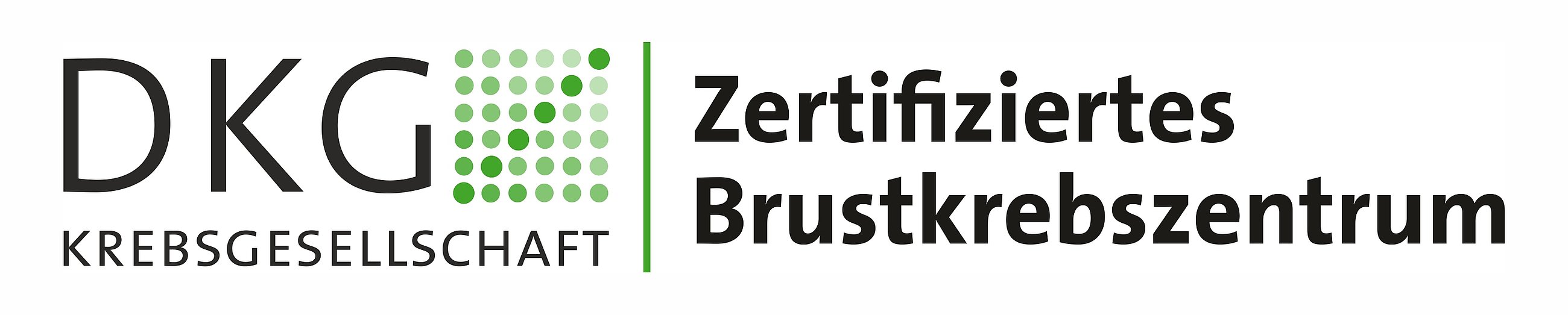 Logo der Deutschen Krebsgesellschaft mit Text 'Zertifiziertes Brustkrebszentrum'