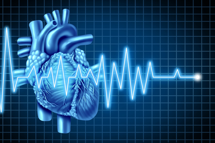 Grafik eines menschlichen Herzens in blauer Farbe, neben einem EKG-Kurvenverlauf, der einen Herzschlag darstellt.